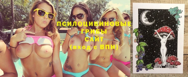 ешки Алзамай